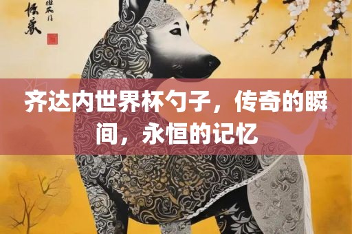 齐达内世界杯勺子,传奇的瞬间,永恒的记忆永康市本千工贸有限公司