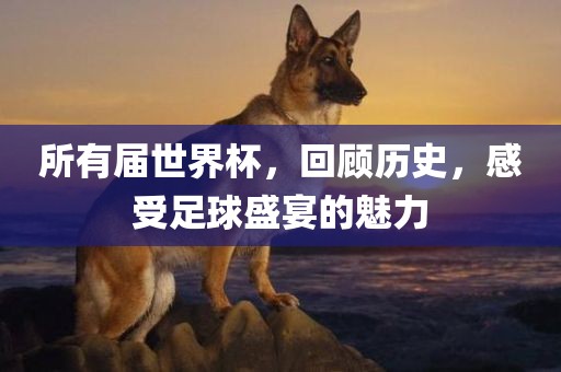 所有届世界杯,回顾历史,感受足球盛宴的魅力