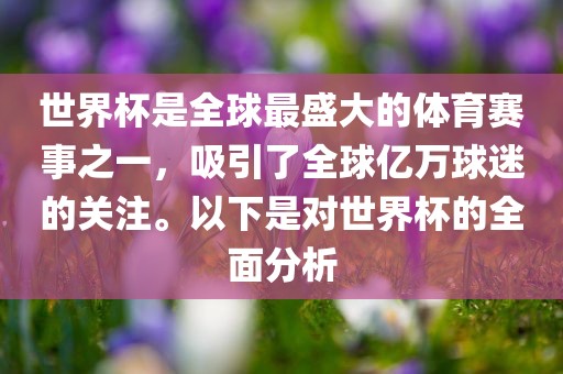 世界杯是全球最盛大的体育赛事之一,吸引了全球亿万球迷的关注。以下是对世界杯的全面分析