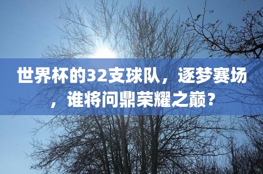 世界杯的32支球队,逐梦赛场,谁将问鼎荣耀之巅?永康市本千工贸有限公司