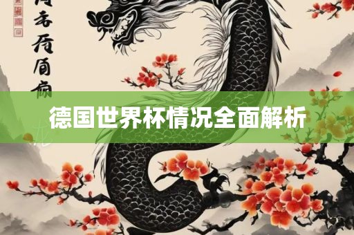 德国世界杯情况全面解析