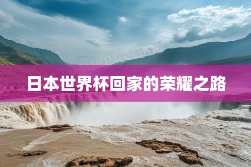 日本世界杯回家的荣耀之路