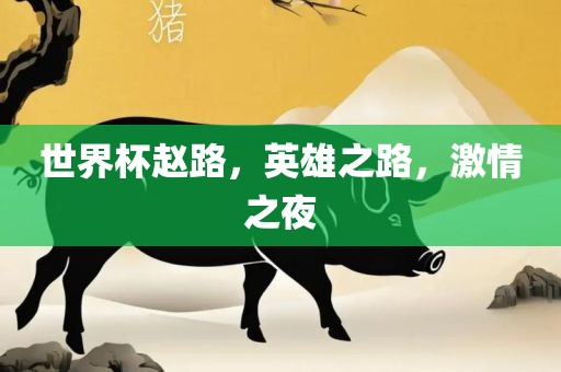 世界杯赵路,英雄之路,激情之永康市本千工贸有限公司夜