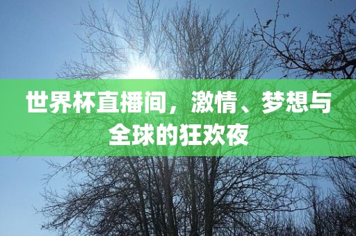 世界杯直播间，激情、梦想与全球的狂欢夜