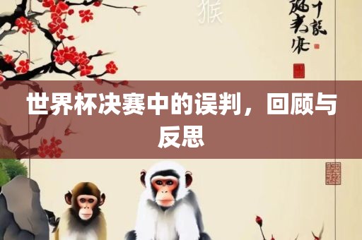 世界杯决赛中的误判，回顾与反思永康市本千工贸有限公司
