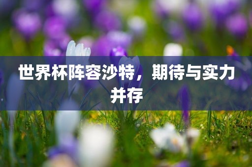 世界杯阵容沙特,期待与实力并存永康市本千工贸有限公司