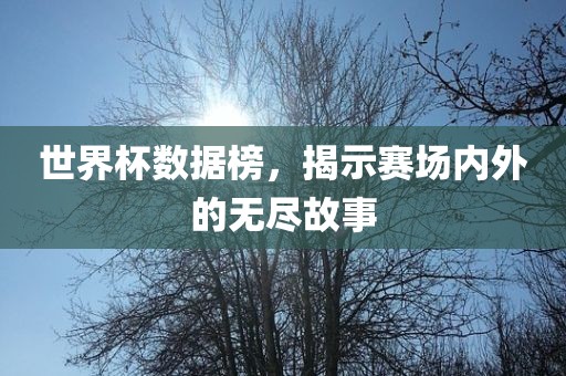 世界杯数据榜，揭示赛场内外的无尽故事