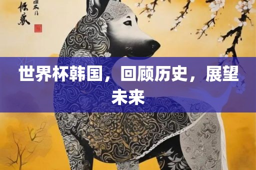 世界杯韩国,回顾历史,展望未来