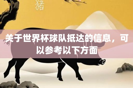 关于世界杯球队抵达的信息，可以参考以下方面永康市本千工贸有限公司