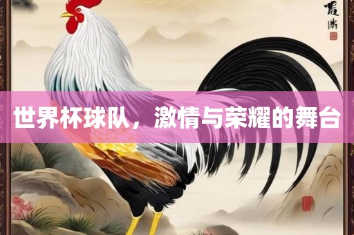 世界杯球队,激情与荣耀的舞台