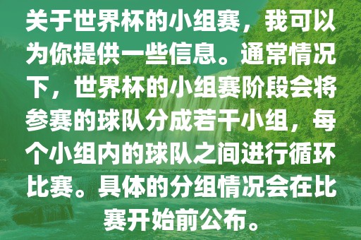 世界杯小组赛 第2页