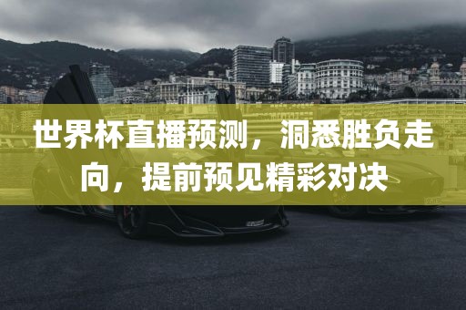 世界杯直播预测，洞悉胜负走向，提前预见精彩对决永康市本千工贸有限公司