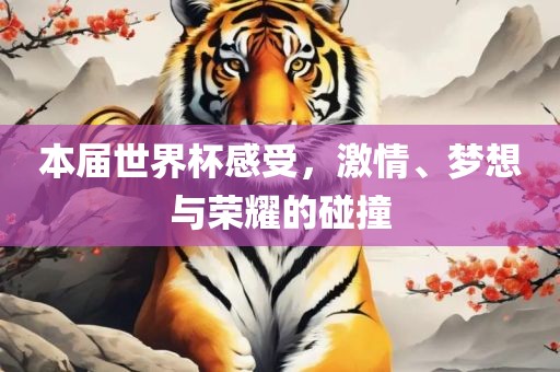 本届世界杯感受,激情、梦想与荣耀的碰撞