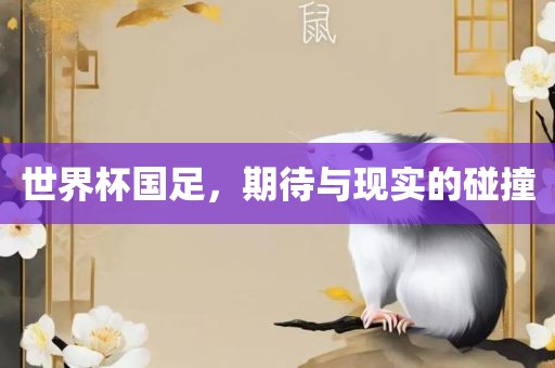 世界杯国足,期待与现实的碰撞