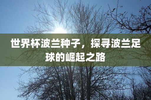 世界杯波兰种子,探寻波兰足球的崛起之路