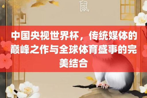 中国央视世界杯，传统媒体的巅峰之作与全球体育盛事的完美结合