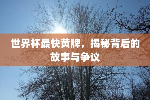 世界杯最快黄牌,揭秘背后的故事与争议永康市本千工贸有限公司