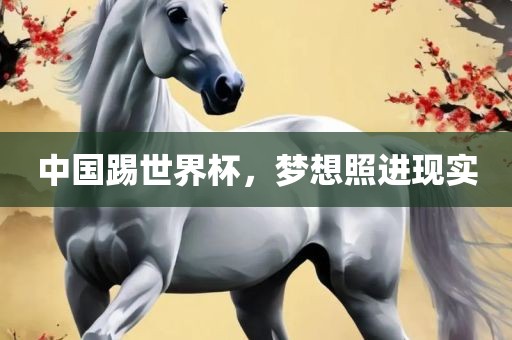 中国踢世界杯，梦想照进现实