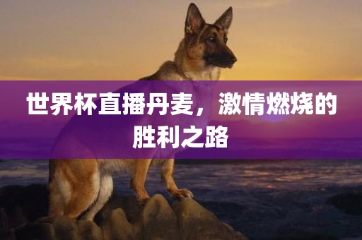 世界杯直播丹麦，激情燃烧的胜利之路