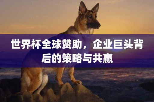 世界杯全球赞助，企业巨头背后的策略与共赢永康市本千工贸有限公司