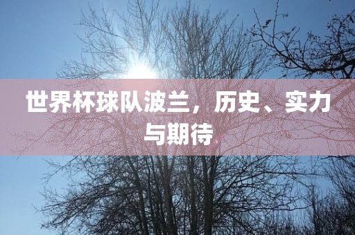 世界杯球队波兰，历史、实力与期待