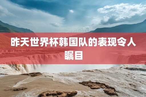 昨天世界杯韩国队的表现令人瞩目