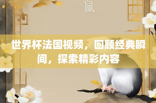 世界杯法国视频，回顾经典瞬间，探索精彩内容