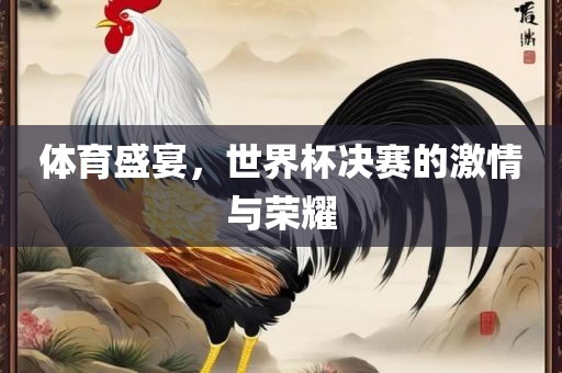 体育盛宴，世界杯决赛的激情与荣耀