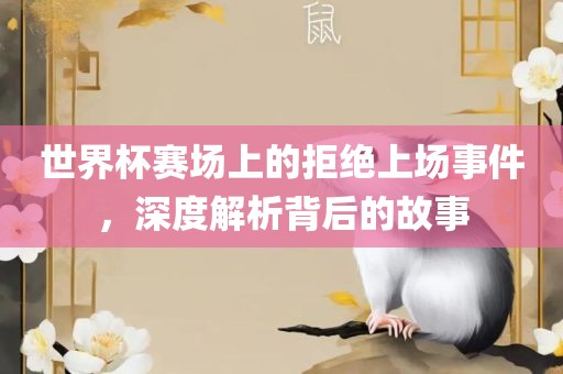 世界杯赛场上的拒绝上场事件,深度解析背后的故事