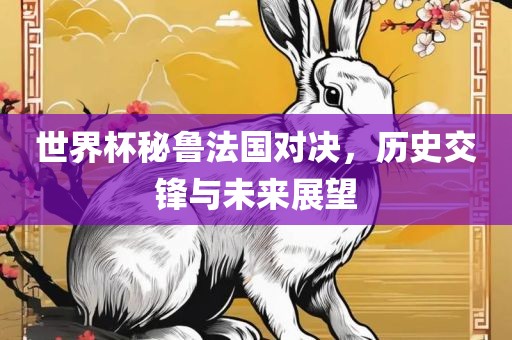 世界杯秘鲁法国对决,历史交锋与未来展望