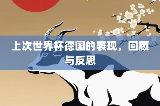 上次世界杯德国的表现,回顾与反思