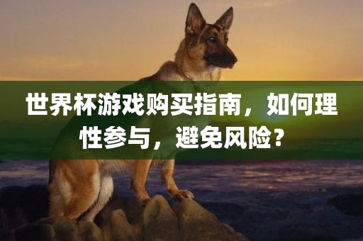 世界杯游戏购买指南,如何理性参与,避免风险?