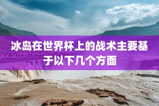 冰岛在世界杯上的战术主要基于以下几个方面永康市本千工贸有限公司