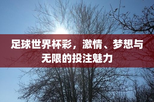 足球世界杯彩，激情、梦想与无限的投注魅力永康市本千工贸有限公司