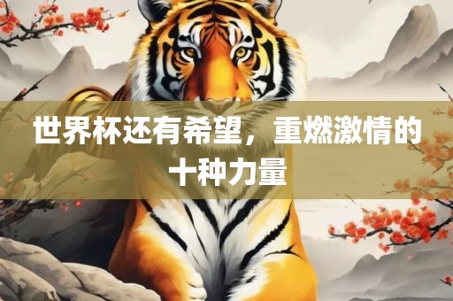 世界杯还有希望,重燃激情的十种力量永康市本千工贸有限公司