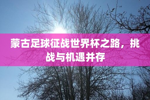 蒙古足球征战世界杯之路,挑战与机遇并存永康市本千工贸有限公司