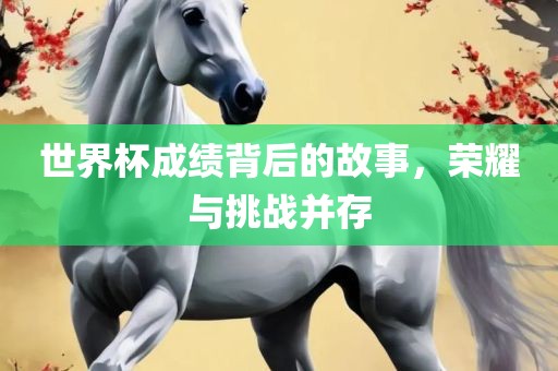 世界杯成绩背后的故事,荣耀与挑战并存