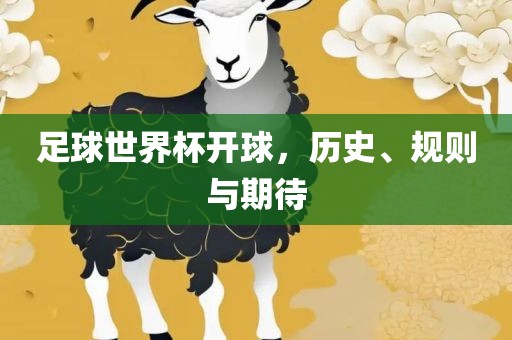 足球世界杯开球，历史、规则与期待永康市本千工贸有限公司