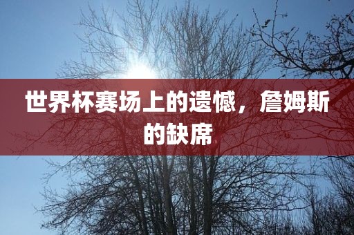 世界杯赛场上的遗憾,詹姆斯的缺席永康市本千工贸有限公司