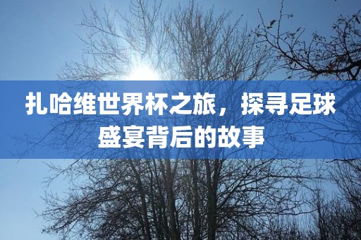 扎哈维世界杯之旅,探寻足球盛宴背后的故事永康市本千工贸有限公司