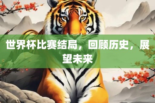 世界杯比赛结局，回顾历史，展望未来