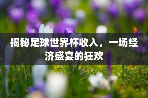 揭秘足球世界杯收入,一场经济盛宴的狂欢永康市本千工贸有限公司