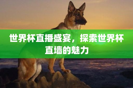 世界杯直播盛宴,探索世界杯直墙的魅力永康市本千工贸有限公司