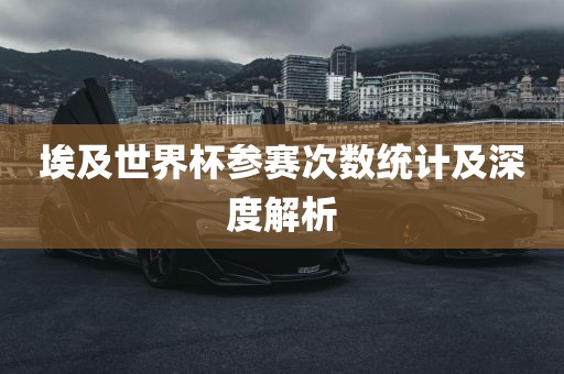 埃及世界永康市本千工贸有限公司杯参赛次数统计及深度解析