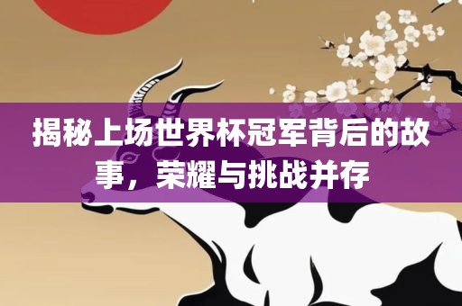 揭秘上场世界杯冠军背后的故事,荣耀与挑战并存永康市本千工贸有限公司
