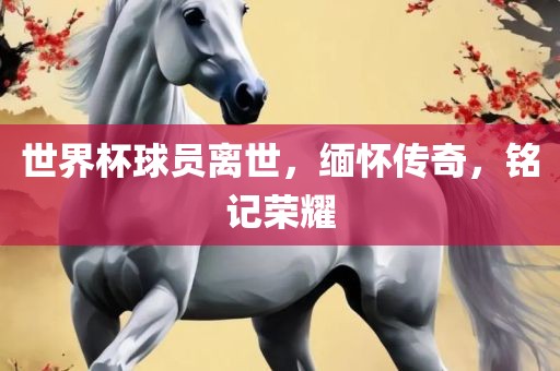 世界杯球员离世，缅怀传奇，铭记荣耀永康市本千工贸有限公司