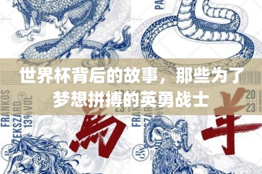 世界杯背后的故事，那些为了梦想拼搏的英勇战士永康市本千工贸有限公司