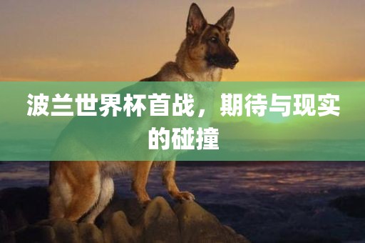波兰世界杯首战,期待与现实的碰撞