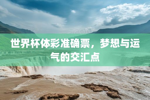 世界杯体彩准确票,梦想与运气的交汇点永康市本千工贸有限公司